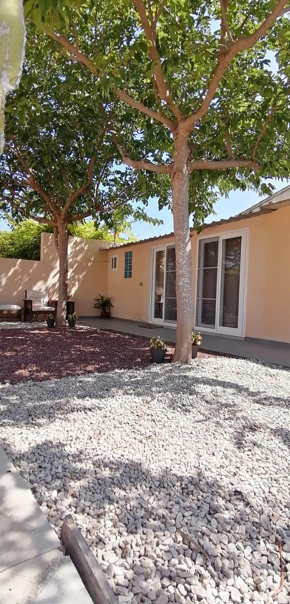 L'Atelier De Paquita - Delta De L'Ebre Appartement Deltebre Buitenkant foto
